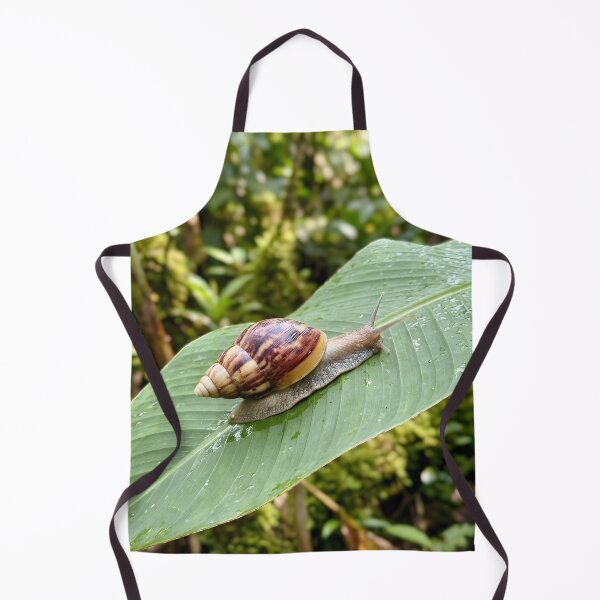 Item preview, Striped Land Snail Exploring Green Tropical Leaf designed and sold by dandiboass.