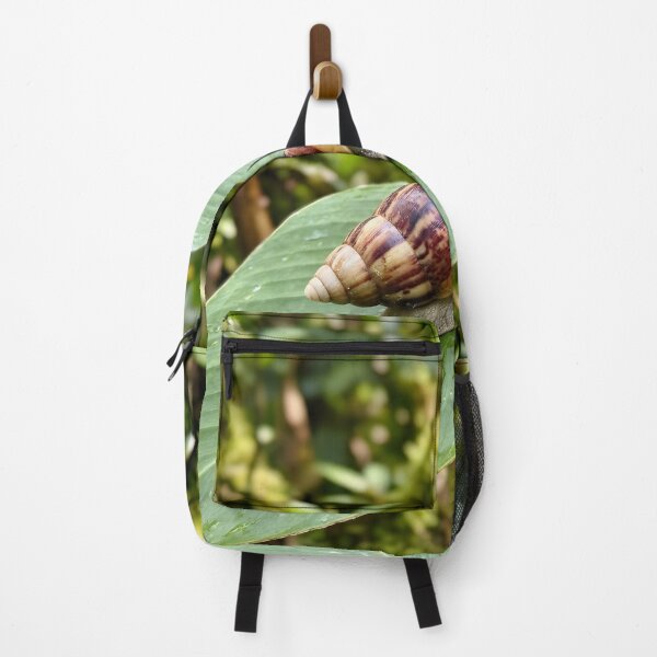 Item preview, Striped Land Snail Exploring Green Tropical Leaf designed and sold by dandiboass.