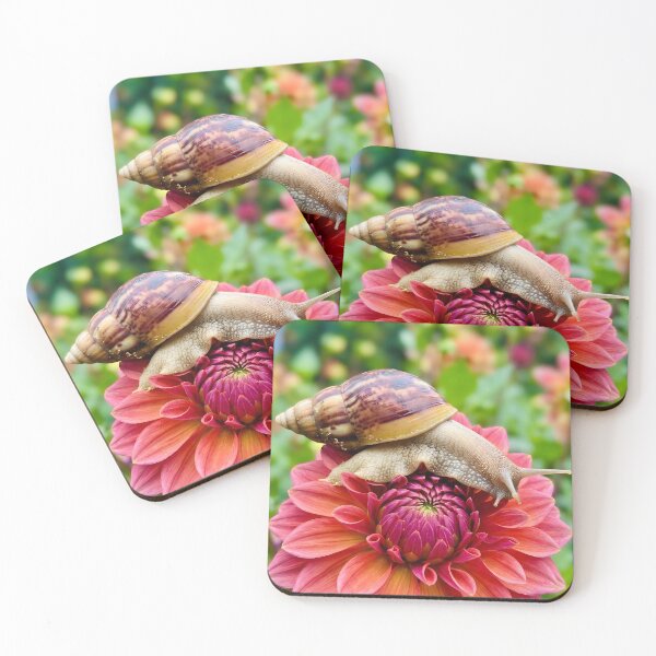 Item preview, Land Snail Resting On Vibrant Pink Dahlia Flower designed and sold by dandiboass.