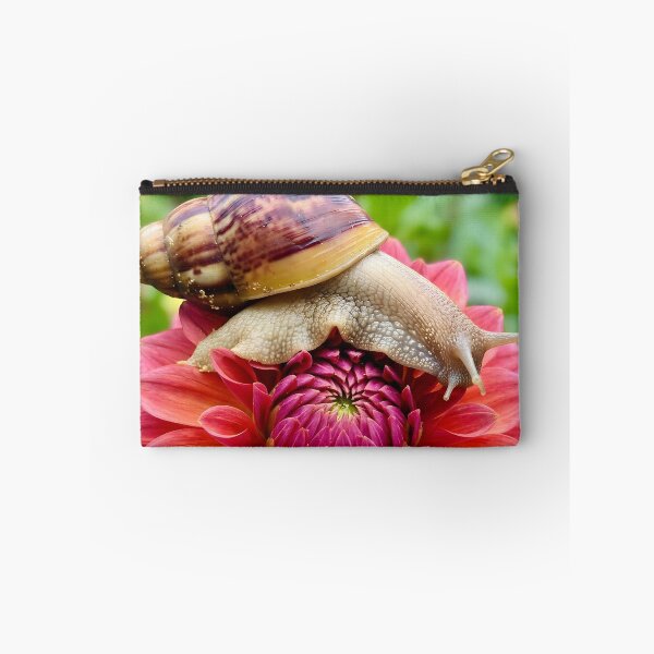 Item preview, Land Snail Resting On Vibrant Pink Dahlia Flower designed and sold by dandiboass.
