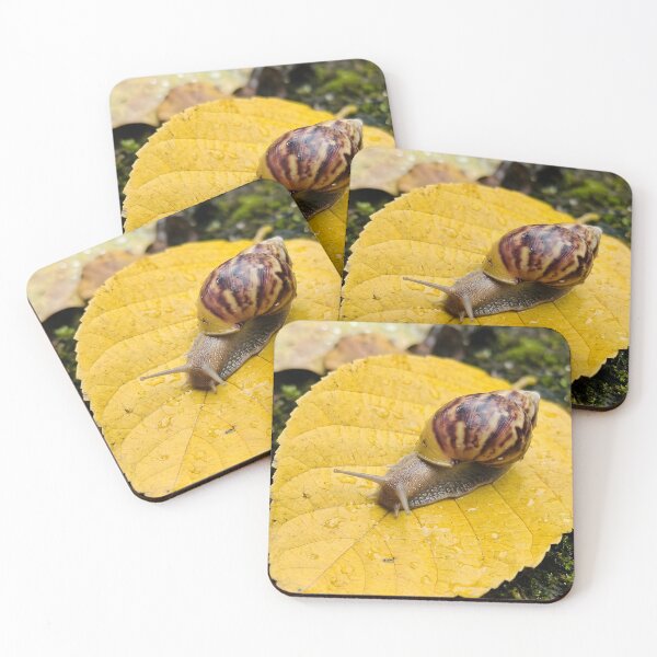 Item preview, Curious Garden Snail On Dewy Yellow Leaf designed and sold by dandiboass.