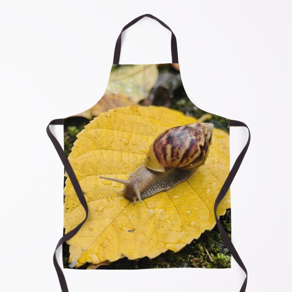 Item preview, Curious Garden Snail On Dewy Yellow Leaf designed and sold by dandiboass.