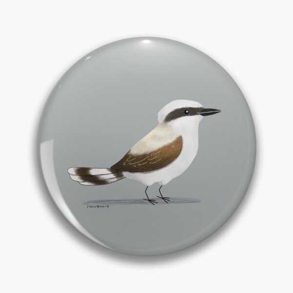Item preview, Masked Water Tyrant Bird designed and sold by julianamotzko.