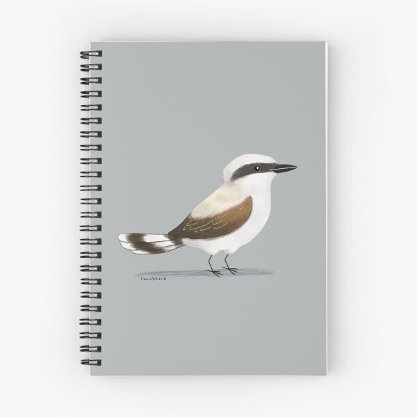 Item preview, Masked Water Tyrant Bird designed and sold by julianamotzko.