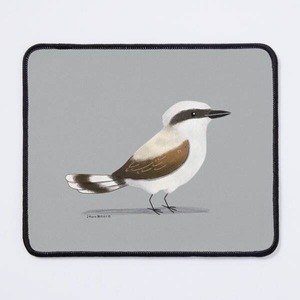 Item preview, Masked Water Tyrant Bird designed and sold by julianamotzko.