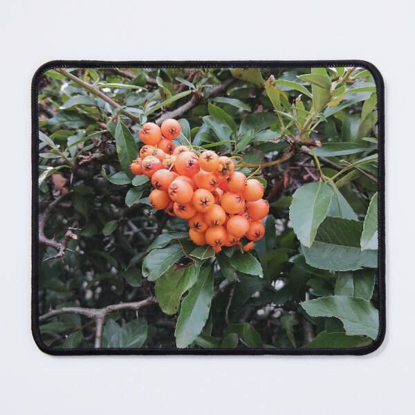 Item preview, Bright Orange Berries On Green Leaves designed and sold by PhuongVoArt.