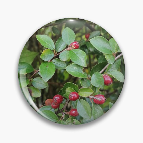 Item preview, Red Berries On Green Leaves designed and sold by PhuongVoArt.