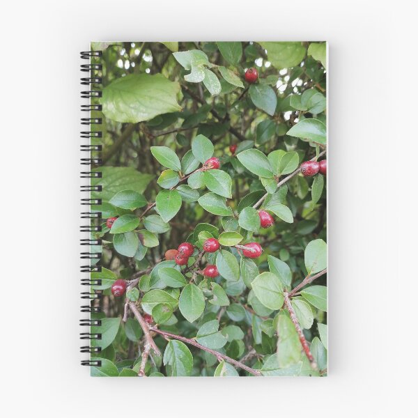 Item preview, Red Berries On Green Leaves designed and sold by PhuongVoArt.