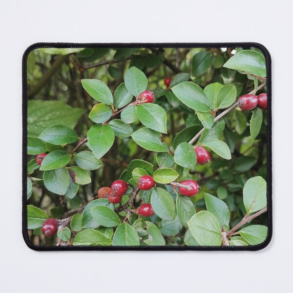 Item preview, Red Berries On Green Leaves designed and sold by PhuongVoArt.