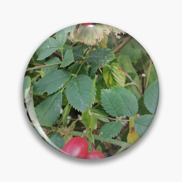 Item preview, Red Rose Hips Among Green Leaves designed and sold by PhuongVoArt.