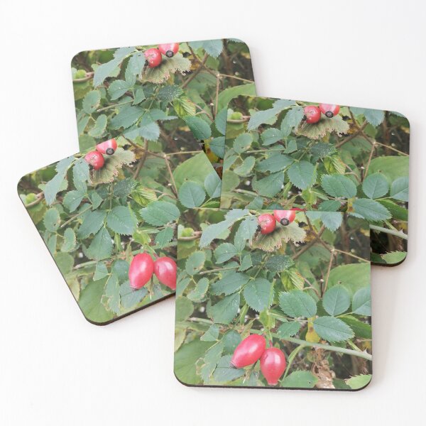 Item preview, Red Rose Hips Among Green Leaves designed and sold by PhuongVoArt.