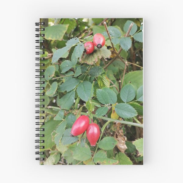 Item preview, Red Rose Hips Among Green Leaves designed and sold by PhuongVoArt.