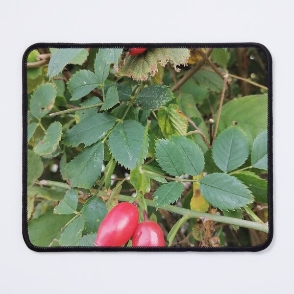 Item preview, Red Rose Hips Among Green Leaves designed and sold by PhuongVoArt.