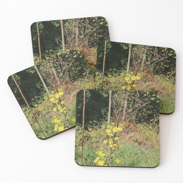 Artikelvorschau, Yellow Wildflowers In Woodland entworfen und verkauft von PhuongVoArt.