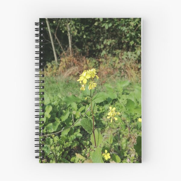Item preview, Yellow Wildflowers In Green Meadow designed and sold by PhuongVoArt.