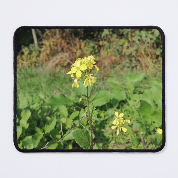 Item preview, Yellow Wildflowers In Green Meadow designed and sold by PhuongVoArt.