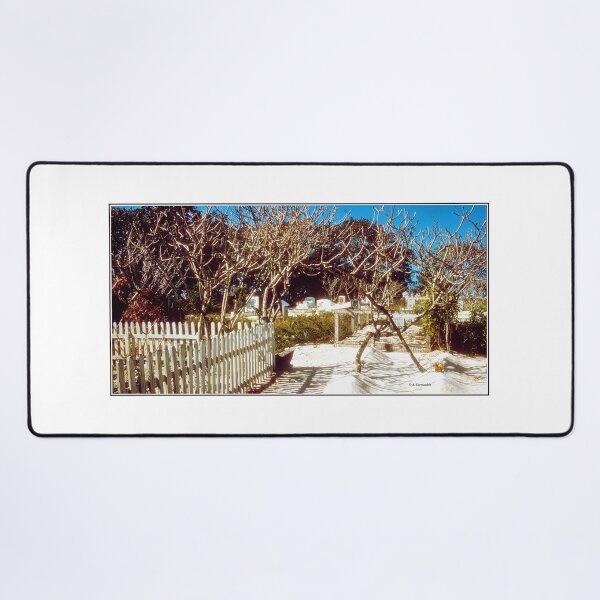 Item preview, Marshall Islands, Bikini Atoll, August 5, 1959, Ancestral Cemetery designed and sold by AMacGPhilly.