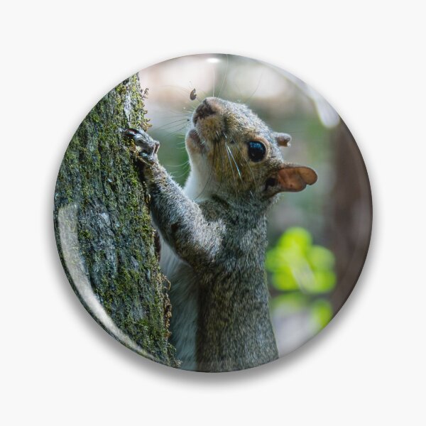 Item preview, Squirrel on a Tree designed and sold by TinyDinoDesigns.