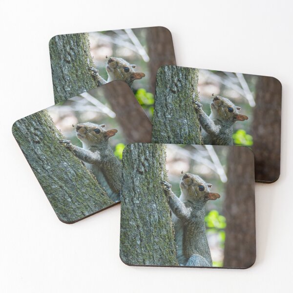 Item preview, Squirrel on a Tree designed and sold by TinyDinoDesigns.
