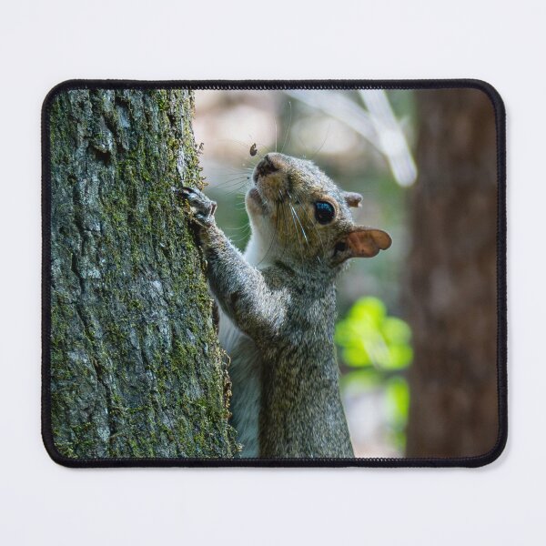 Item preview, Squirrel on a Tree designed and sold by TinyDinoDesigns.