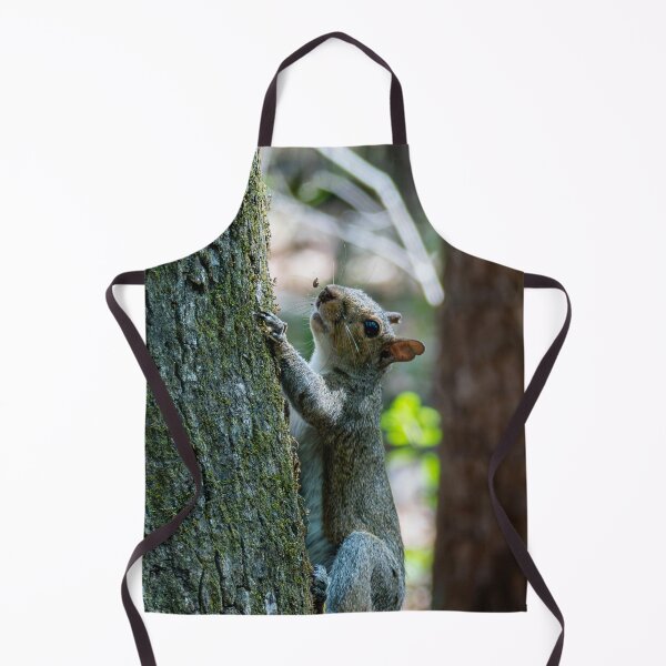 Item preview, Squirrel on a Tree designed and sold by TinyDinoDesigns.