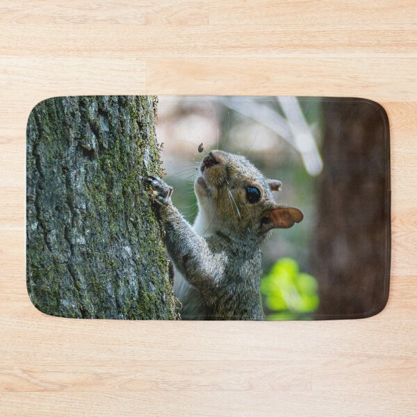 Item preview, Squirrel on a Tree designed and sold by TinyDinoDesigns.