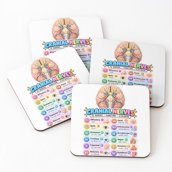 Item preview, Cranial Nerves 3D Study Aid Nursing Student Sticker designed and sold by isokinetic.
