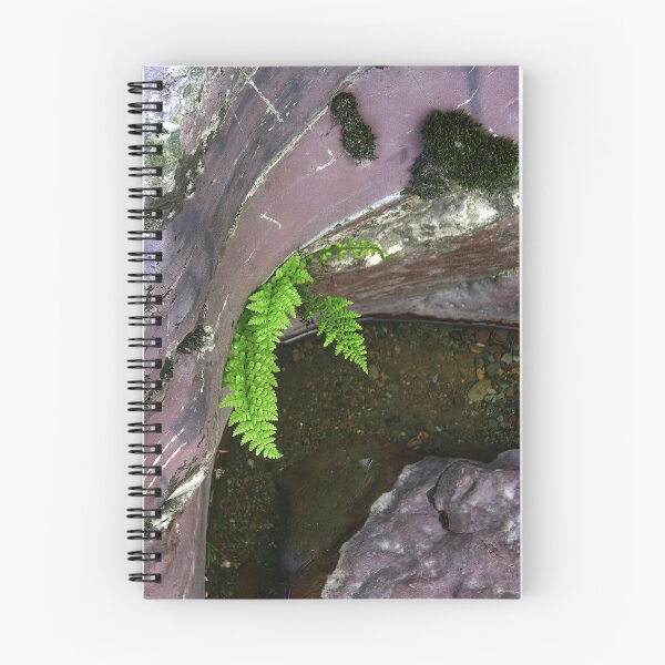 Item preview, River Fern In Rock designed and sold by CarolM.