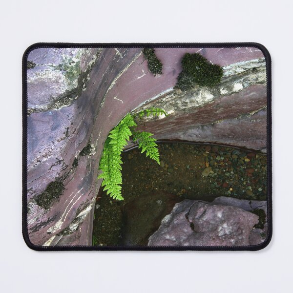Item preview, River Fern In Rock designed and sold by CarolM.