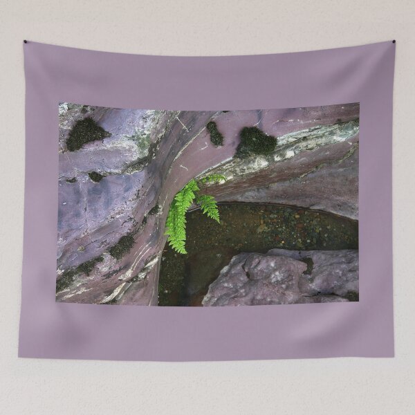 Item preview, River Fern In Rock designed and sold by CarolM.