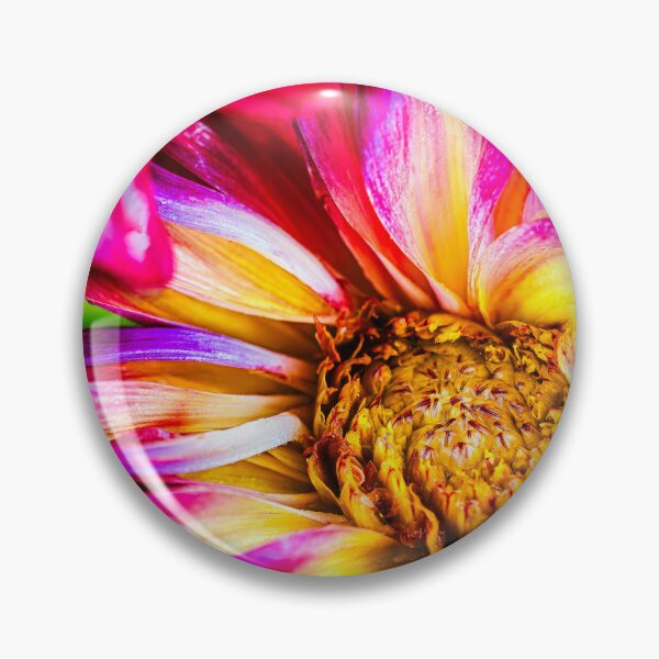 Item preview, Dahlia Rainbow designed and sold by Jim Love.