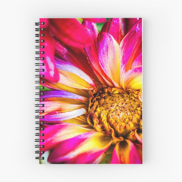 Item preview, Dahlia Rainbow designed and sold by Jim Love.