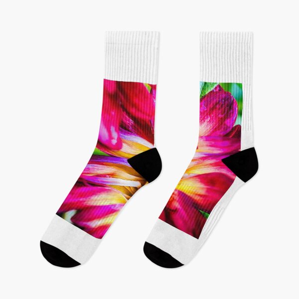 Item preview, Dahlia Rainbow designed and sold by Jim Love.