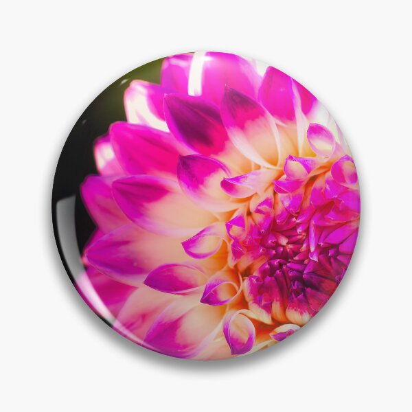 Item preview, Dahlia Rainbow 2 designed and sold by Jim Love.
