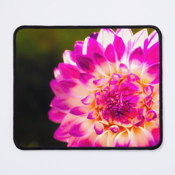 Item preview, Dahlia Rainbow 2 designed and sold by Jim Love.
