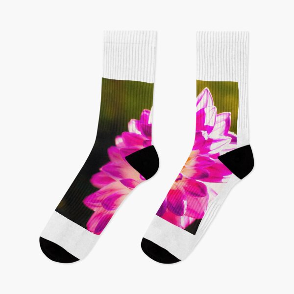 Item preview, Dahlia Rainbow 2 designed and sold by Jim Love.