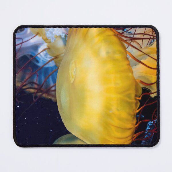 Item preview, Janet Fish art - Janet Fish artwork - Janet Fish painting - Janet Fish still life - Janet Fish realism - Janet Fish contemporary art designed and sold by Rohyadalim.