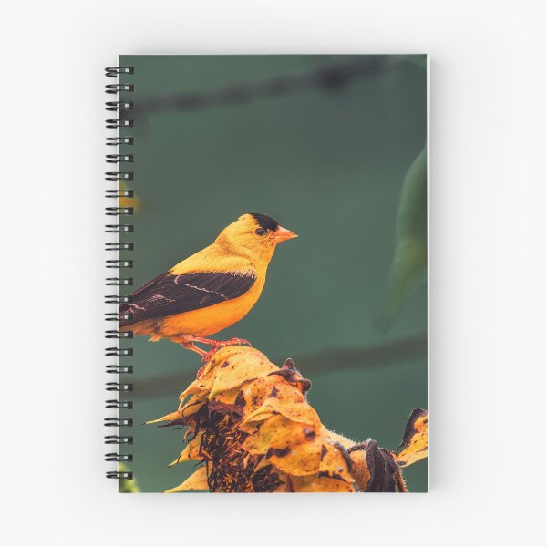 Item preview, Sunflower Goldfinch designed and sold by Jim Love.