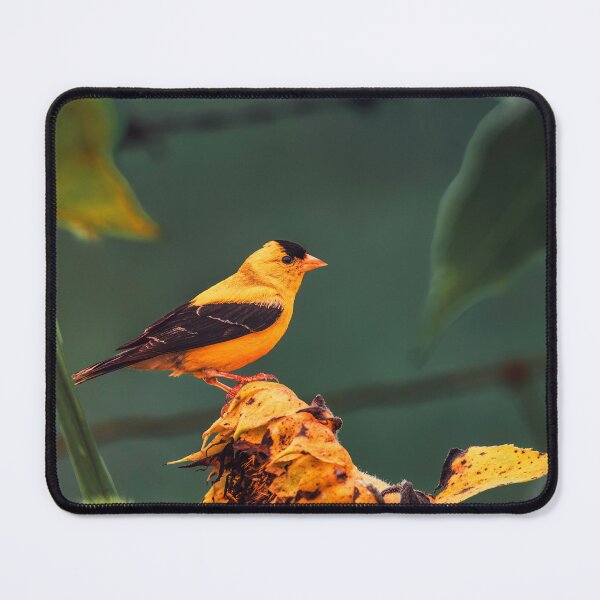 Item preview, Sunflower Goldfinch designed and sold by Jim Love.
