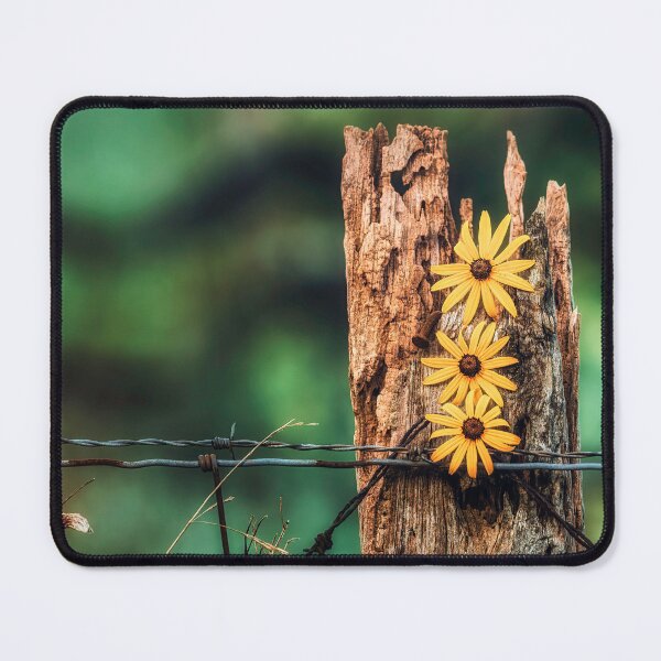 Item preview, Black Eyed Fencepost designed and sold by Jim Love.
