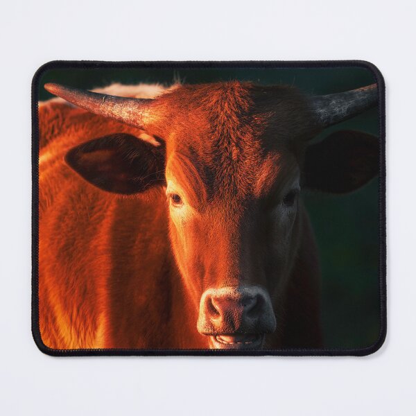 Item preview, Bovine Majesty designed and sold by Jim Love.