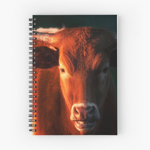 Item preview, Bovine Majesty designed and sold by Jim Love.