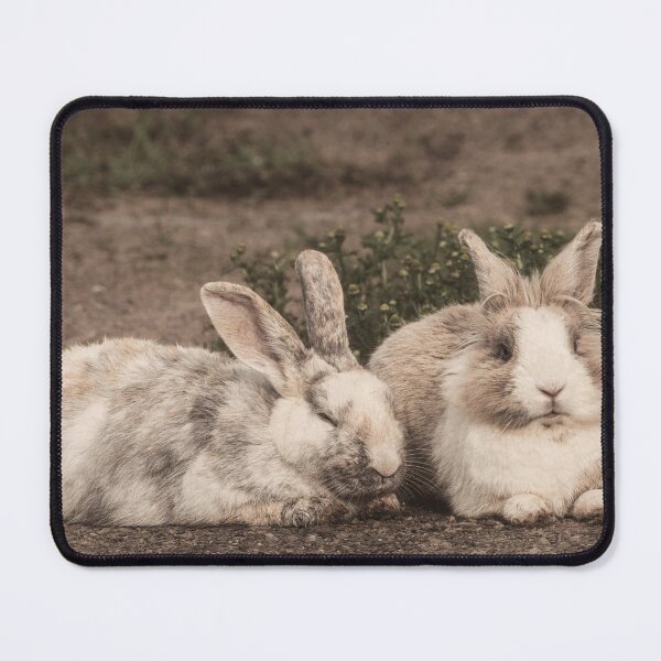 Item preview, Bunny Buds designed and sold by Jim Love.