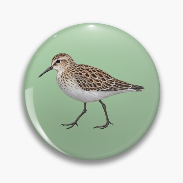 Item preview, least sandpiper coastal bird designed and sold by RAMIRELLI.