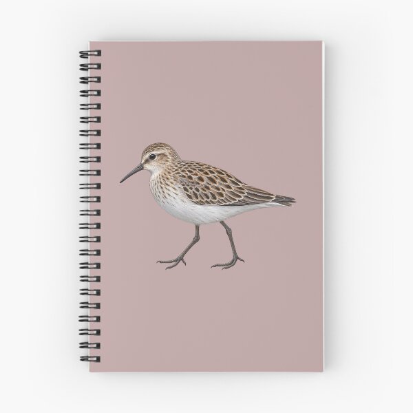 Item preview, least sandpiper coastal bird designed and sold by RAMIRELLI.