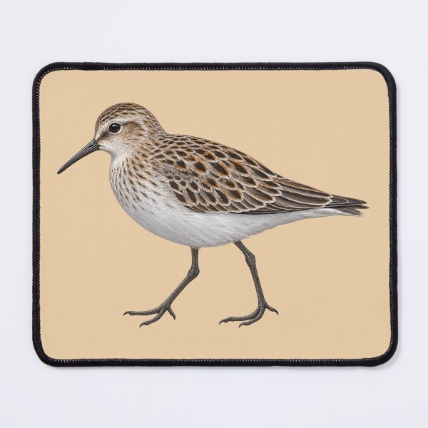 Item preview, least sandpiper coastal bird designed and sold by RAMIRELLI.