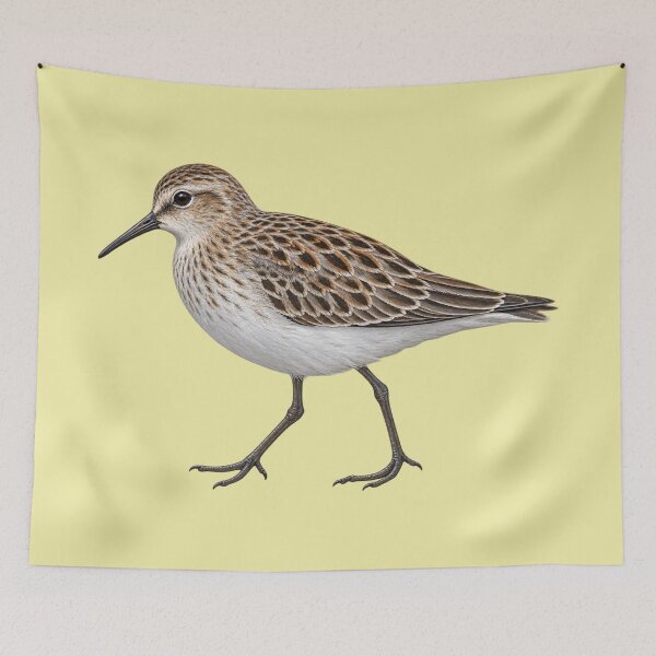 Item preview, least sandpiper coastal bird designed and sold by RAMIRELLI.