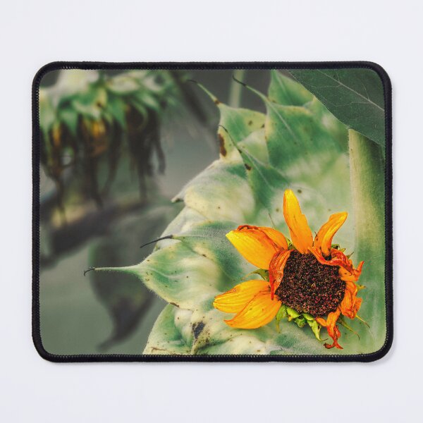 Item preview, Summer On The Wane designed and sold by Jim Love.