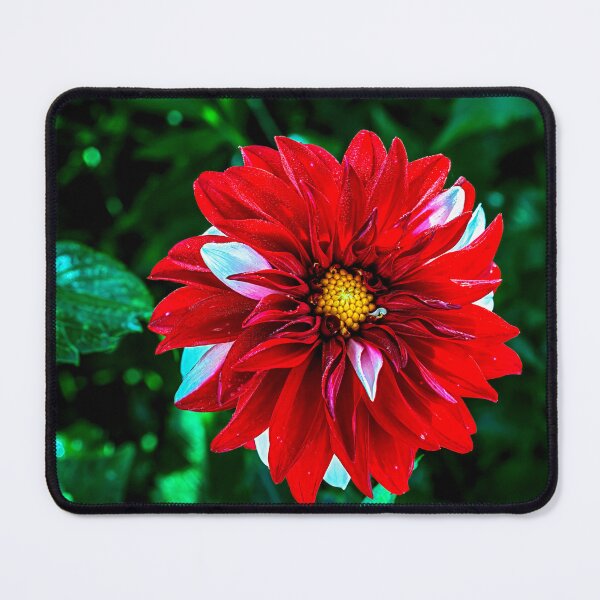 Item preview, Red Brilliance designed and sold by Jim Love.