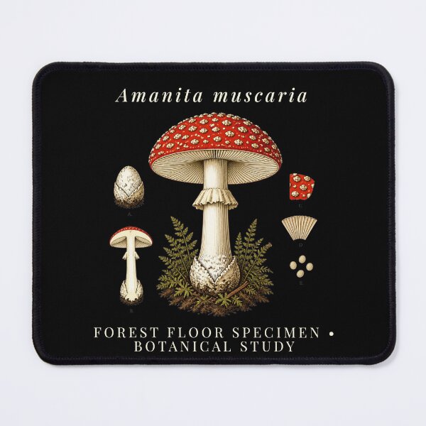 Item preview, Amanita Muscaria Vintage Botanical Mushroom Dark Cottagecore Art designed and sold by wildsilencee.
